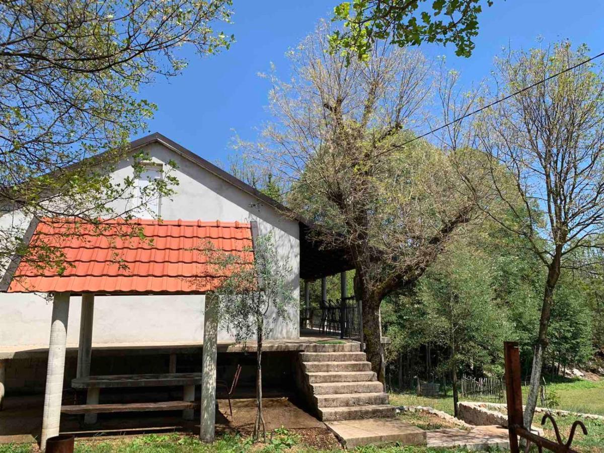 Bandici House Apartment Podgoriţa Exterior foto